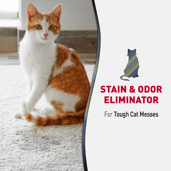 Nature's miracle just for cats stain & odor remover sale